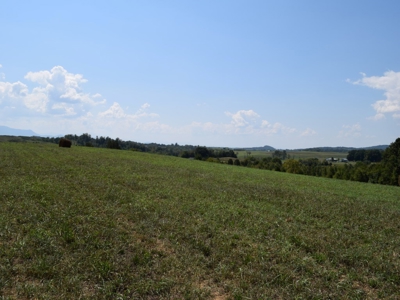 For Sale At Auction Farm East Tn/ Jefferson Co/ White Pine - image 5