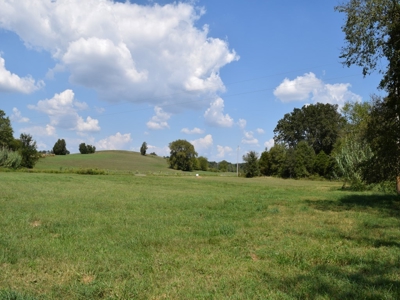 For Sale At Auction Farm East Tn/ Jefferson Co/ White Pine - image 33