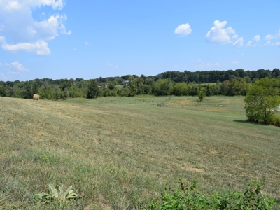 For Sale At Auction Farm East Tn/ Jefferson Co/ White Pine - image 23