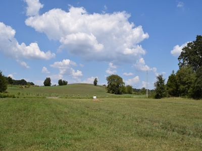 For Sale At Auction Farm East Tn/ Jefferson Co/ White Pine - image 31