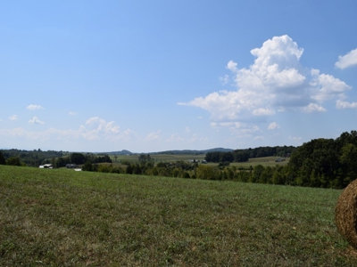 For Sale At Auction Farm East Tn/ Jefferson Co/ White Pine - image 15