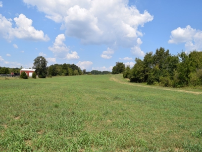For Sale At Auction Farm East Tn/ Jefferson Co/ White Pine - image 35