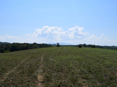 For Sale At Auction Farm East Tn/ Jefferson Co/ White Pine - image 3