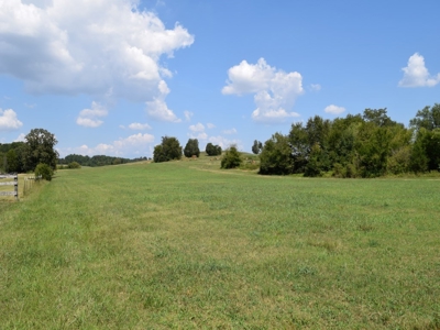 For Sale At Auction Farm East Tn/ Jefferson Co/ White Pine - image 36