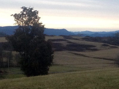 For Sale At Auction Farm East Tn/ Jefferson Co/ White Pine - image 39
