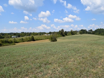 For Sale At Auction Farm East Tn/ Jefferson Co/ White Pine - image 6