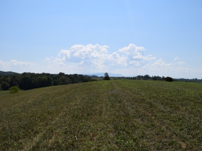For Sale At Auction Farm East Tn/ Jefferson Co/ White Pine - image 12