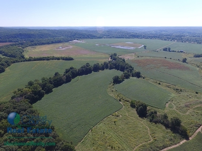 Land for Sale by Auction - Gasconade County Missouri - image 21