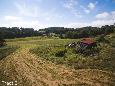 30 Acres for Sale at Absolute Auction in Copper Hill VA! - image 2