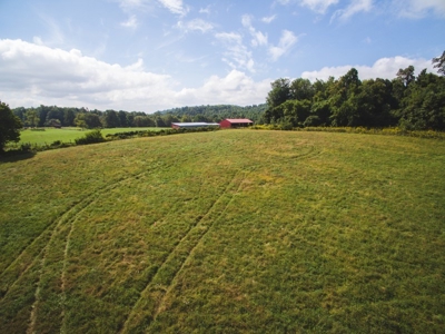 10 Acres for Sale at Absolute Auction in Copper Hill VA! - image 19