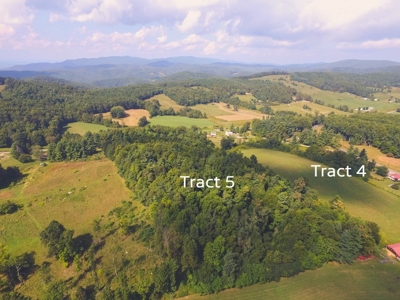Absolute Auction of Farm Land in Copper Hill VA! - image 16