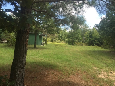 Tree Farm for Sale in central Arkansas within Grant County - image 1