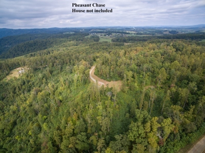 Pheasant Chase - 56.282 Acres in Seven Springs Development! - image 2