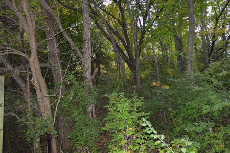 Live Property Auction Pardeeville, WI - image 3