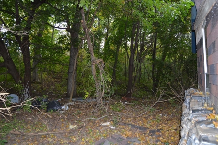 Live Property Auction Pardeeville, WI - image 4