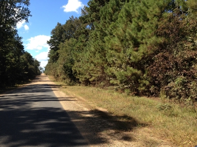 Natural Timberland for sale on the Arkansas /Louisiana Line - image 1