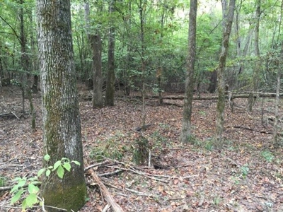 Small Acreage Timbered Land For Sale in Nevada County, AR - image 7