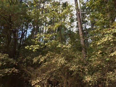 Small Acreage Timbered Land For Sale in Nevada County, AR - image 6