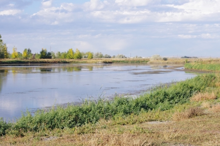 Idaho Falls Agricultural & Recreational Real Estate For Sale - image 10