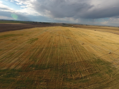 Idaho Falls Agricultural & Recreational Real Estate For Sale - image 8