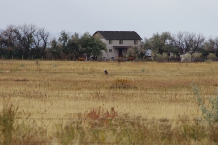 Idaho Falls Agricultural & Recreational Real Estate For Sale - image 4