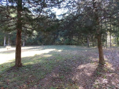 Estate Auction Lobelville Tn ~ Donald Grudecki - image 40