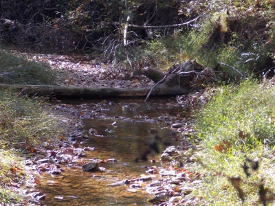 Estate Auction Lobelville Tn ~ Donald Grudecki - image 37