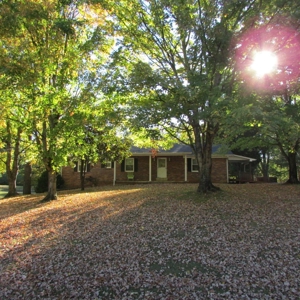 Estate Auction Columbia Tennessee - image 39