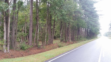 Auction!  209+ Acres Farmland - Hunting 0R Timberland Nov 19 - image 4