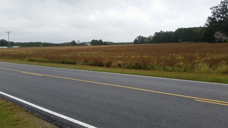 Auction!  209+ Acres Farmland - Hunting 0R Timberland Nov 19 - image 3