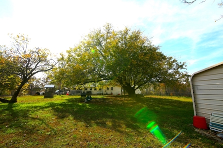 Country Home in the Ozarks For Sale - image 21