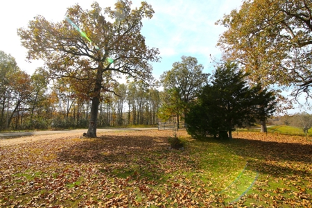 Country Home in the Ozarks For Sale - image 9