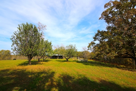 Country Home in the Ozarks For Sale - image 25