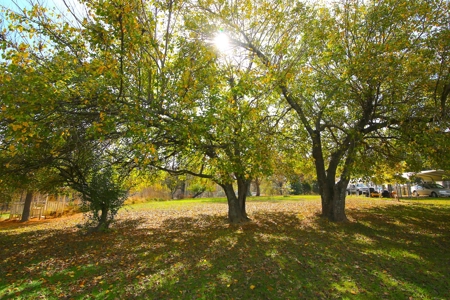 Country Home in the Ozarks For Sale - image 24