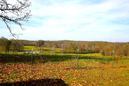 Country Home in the Ozarks For Sale - image 15