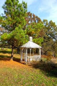 Country Home in the Ozarks For Sale - image 26