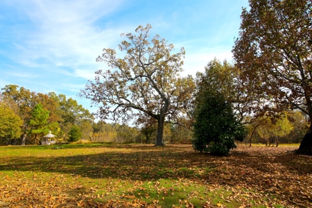 Country Home in the Ozarks For Sale - image 7