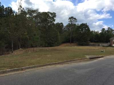 16 Flagstone Lots in Chelsea, AL - 5 Selling Absolute - image 4