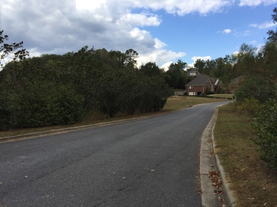 16 Flagstone Lots in Chelsea, AL - 5 Selling Absolute - image 1