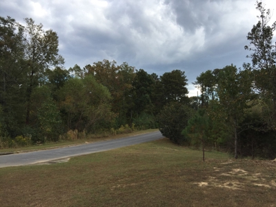 16 Flagstone Lots in Chelsea, AL - 5 Selling Absolute - image 12