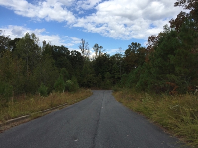 16 Flagstone Lots in Chelsea, AL - 5 Selling Absolute - image 5