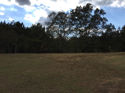 16 Flagstone Lots in Chelsea, AL - 5 Selling Absolute - image 7