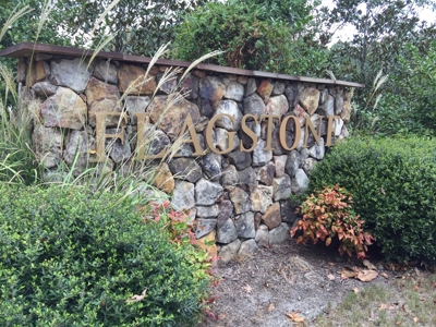16 Flagstone Lots in Chelsea, AL - 5 Selling Absolute - image 13