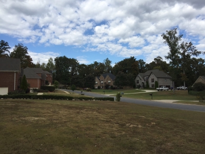 16 Flagstone Lots in Chelsea, AL - 5 Selling Absolute - image 11