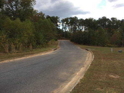 16 Flagstone Lots in Chelsea, AL - 5 Selling Absolute - image 8