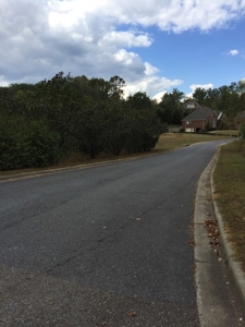 16 Flagstone Lots in Chelsea, AL - 5 Selling Absolute - image 15