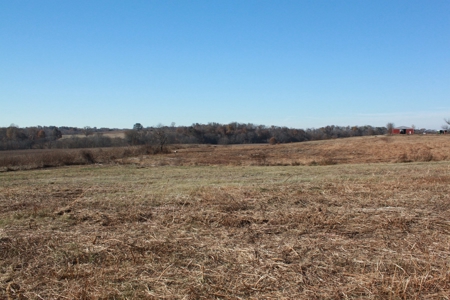 139 Acre Dairy Facilities, Crop, Pasture, Woods For Sale - image 11