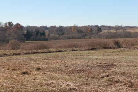 139 Acre Dairy Facilities, Crop, Pasture, Woods For Sale - image 10