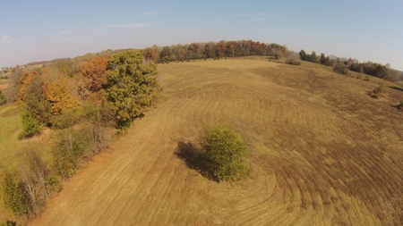 139 Acre Dairy Facilities, Crop, Pasture, Woods For Sale - image 3