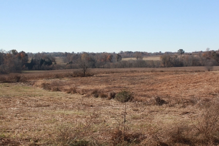 139 Acre Dairy Facilities, Crop, Pasture, Woods For Sale - image 17
